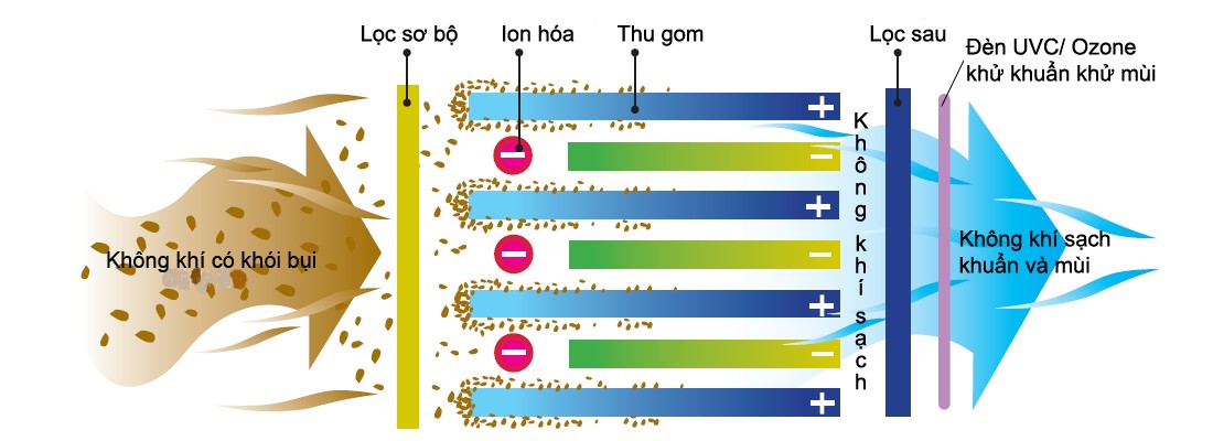 Máy làm sạch không khí
